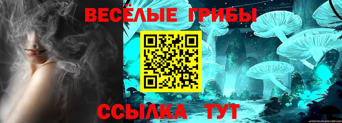 Галлюциногенные грибы Cubensis  Псилоцибиновые грибы Magic Shrooms  Златоуст  Вход с VPN 